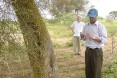 Locust - Assessing the Situation in Senegal