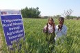 Manzoor Mai with her son at her wheat field.