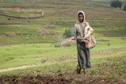 Kassa Mulualem plow her father's land. Kassa is a project participant and role model. She was one of the first women in her area to take up plowing, an activity that is traditionally reserved for men. By sharing her experience with the village economic and social associations in her area, she is helping to raise awareness about gender equality and encouraging other USAID beneficiaries to change their lives by changing their understanding of the division of labor between men and women.