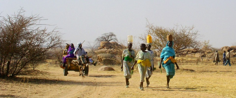 An early morning search for firewood with women of the Kalma internally displaced persons (IDP) camp in South Darfur. / Nicole W