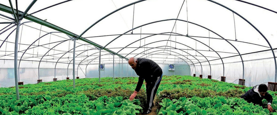 Asatiani gives Mission Director Ball a tour of his energy-efficient greenhouses