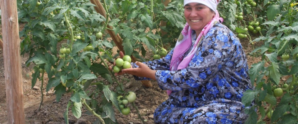 Tajikistan Country Profile Photo