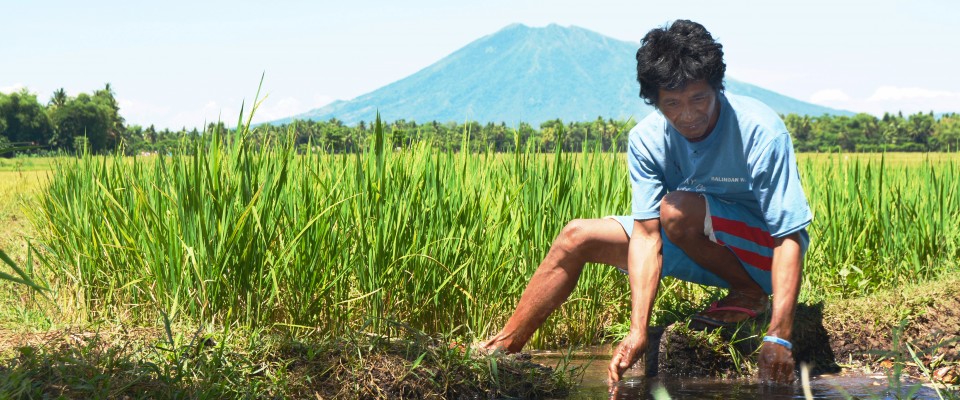 Filipino Farmers Triumph Over Drought