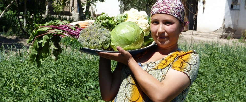 USAID through Feed the Future assists small farmers and their families to grow more fruits and vegs in their kitchen garden