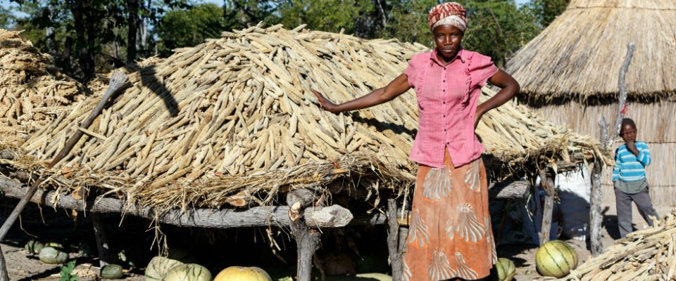 Keekaegile, an innovative farmer and intrepid mother of three who increased her yield of millet 12 times by using conservation a