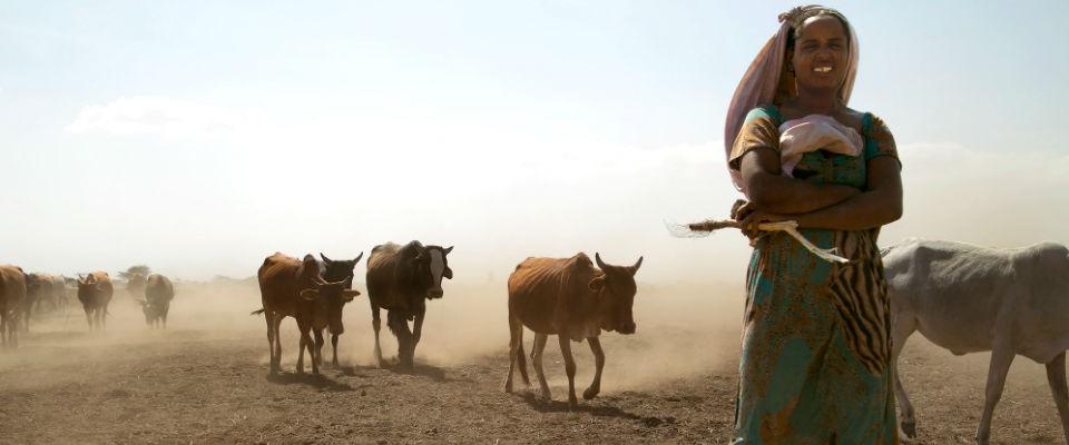 See how USAID responded to the recent El Niño drought in Ethiopia. Photo: Nancy McNally, Catholic Relief Services.