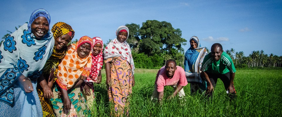 Farmers in Zanzibar