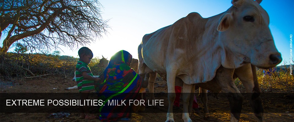 Extreme Possibilities - Milk for Life. Photo by Morgana Wingard