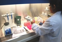 A scientist tests cases at the DNA facility in Sri Lanka.