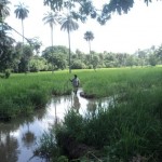 Gestion durable et concertée  des ressources à la frontière  sénégalo-gambienne