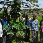 USAID beneficiaries stand in front of a mango tree and sugarcane plants.