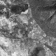 This satellite image comparison of the southern part of the Balayan-Souroumba National Forest from 1967, left, and 2007, right, 