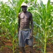 Farmer James Sworo with the maize he planted two months earlier in Kajo Keji County, South Sudan 