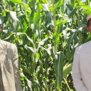 Brothers Bedasa, left, and Debela Ofosea pose where their two maize fields meet.