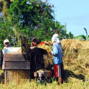 Farmers in Aklan province will be able to generate additional income by selling their rice husks to Asea One.