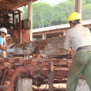 Workers at the Arbol Verde sawmill in the Petén region of Guatemala process lumber.