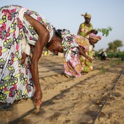 Members of the Dowroy women's group working on their vegetable garden