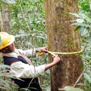 Provincial officials take part in forest monitoring training in Lam Dong, Vietnam.