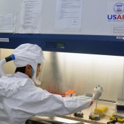 USAID và FAO hỗ trợ cán bộ phòng xét nghiệm của Việt Nam phát hiện vi-rút.