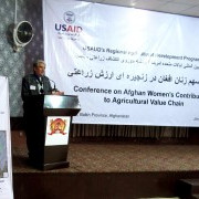 Agriculture director of Balkh Province Kateb Shams explains the importance of Afghan women in agriculture during the conference.