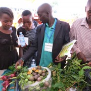 Youth in Agribusiness