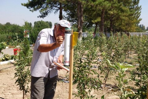 Farmers learn the intensive orchard method to increase crop yield and quality.