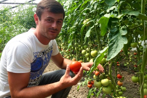 Giorgi Shavadze set up his first greenhouse in 2015 with USAID assistance.