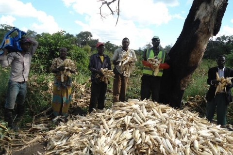 Farmers of Nhantumbi