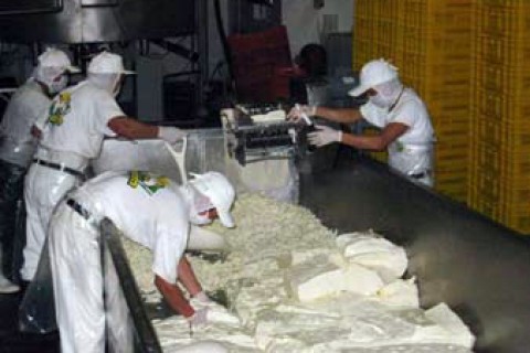 Employees process cheese at Agroindustrias San Julian plant.