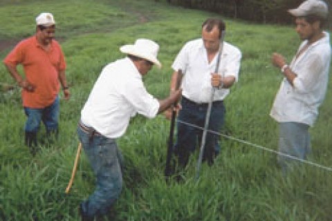 Farmer to Farmer volunteers work together with Nicaraguan cattlemen to install an electric fence. 